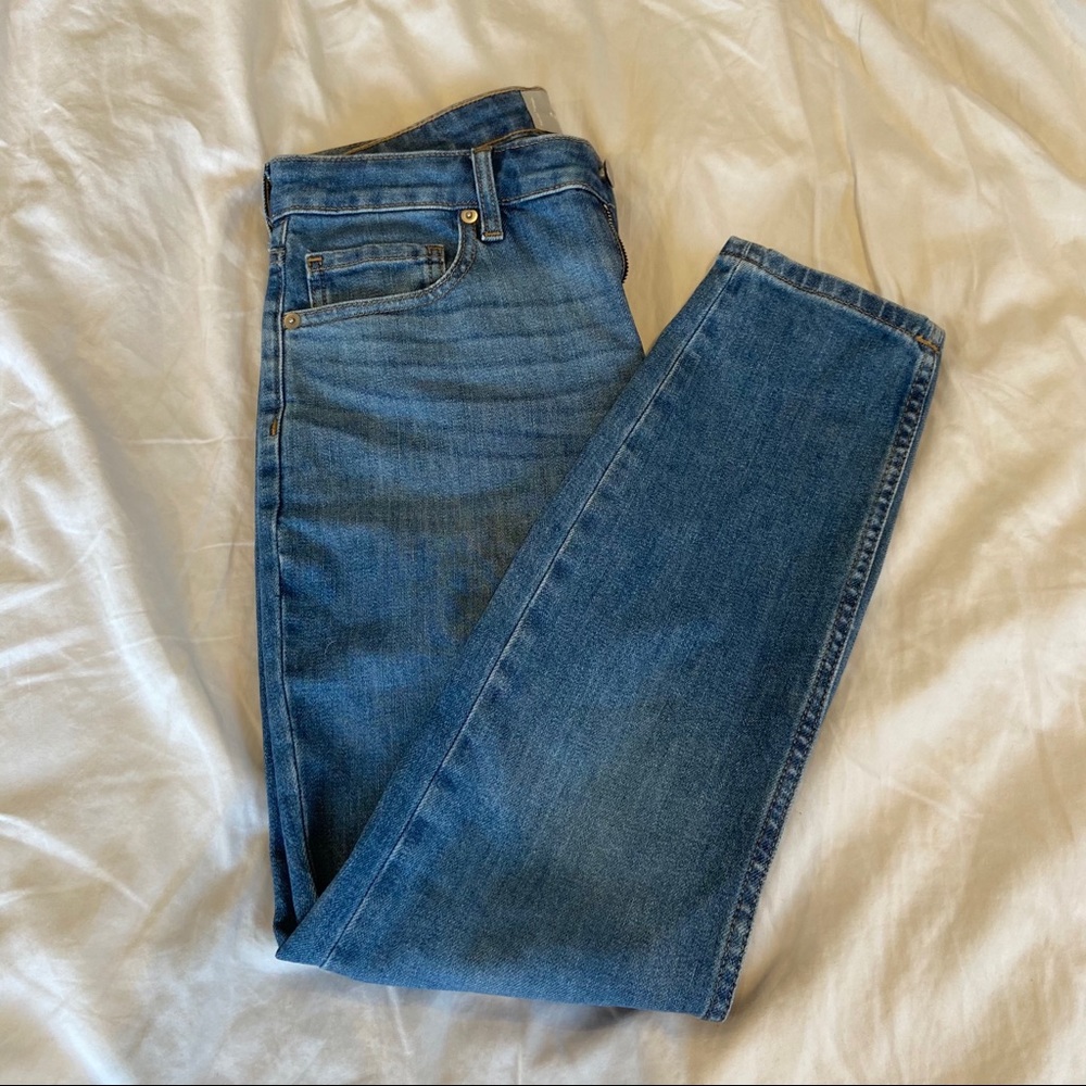 Everlane Mid-Rise Skinny Jeans (size 26 ankle)